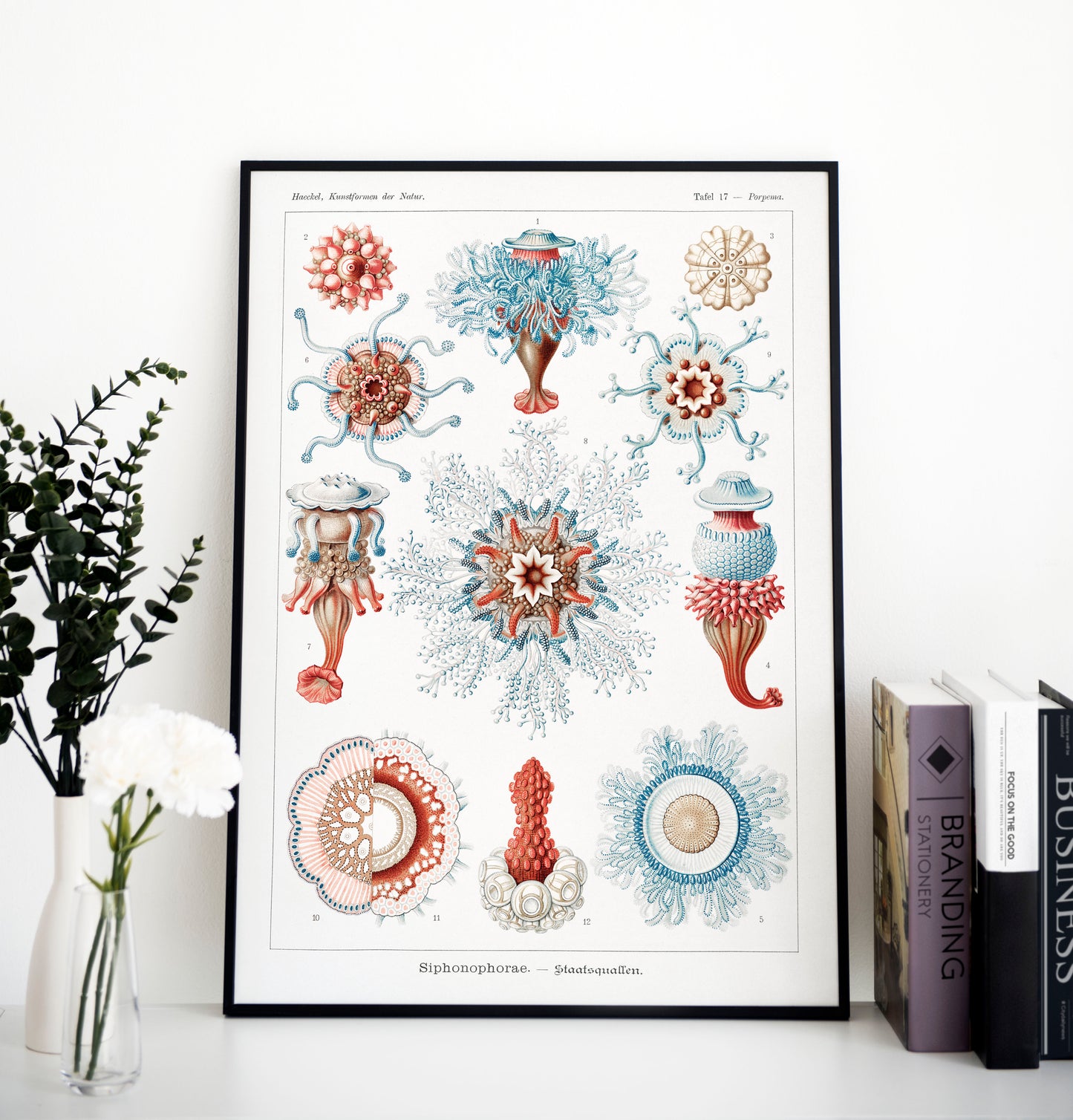 Ernst Haeckel - Siphonophorae | Wall Art | Historical Painting | Printable Wall Art | Home Decor | Famous Art | Classical Artwork |