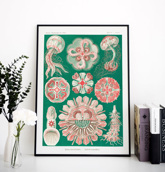 Ernst Haeckel - Schweibenquallen | Wall Art | Historical Painting | Printable Wall Art | Home Decor | Famous Art | Classical Artwork |