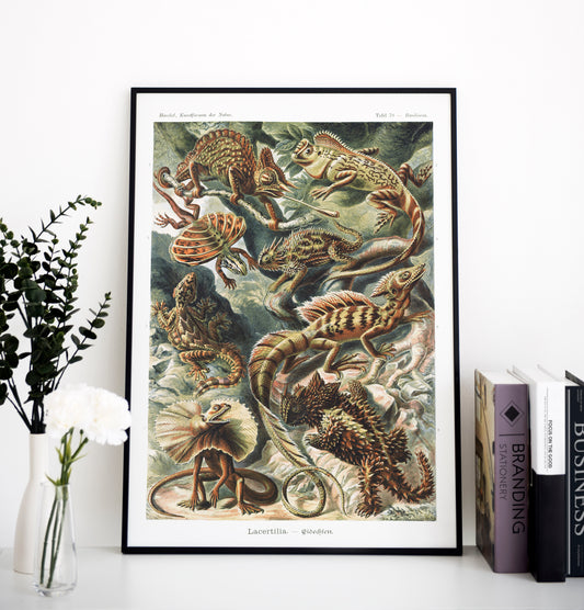 Ernst Haeckel - Lacertilia–Eidechlen | Wall Art | Historical Painting | Printable Wall Art | Home Decor | Famous Art | Classical Artwork |