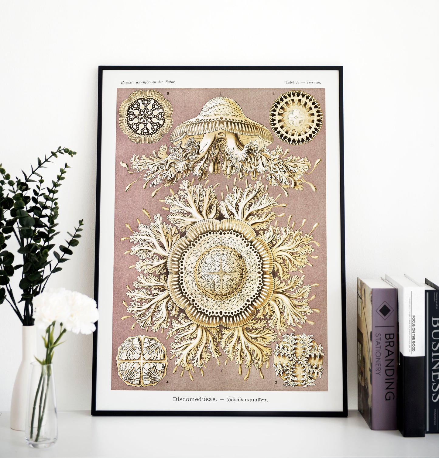 Ernst Haeckel - Discomedusae | Wall Art | Historical Painting | Printable Wall Art | Home Decor | Famous Art | Classical Artwork |