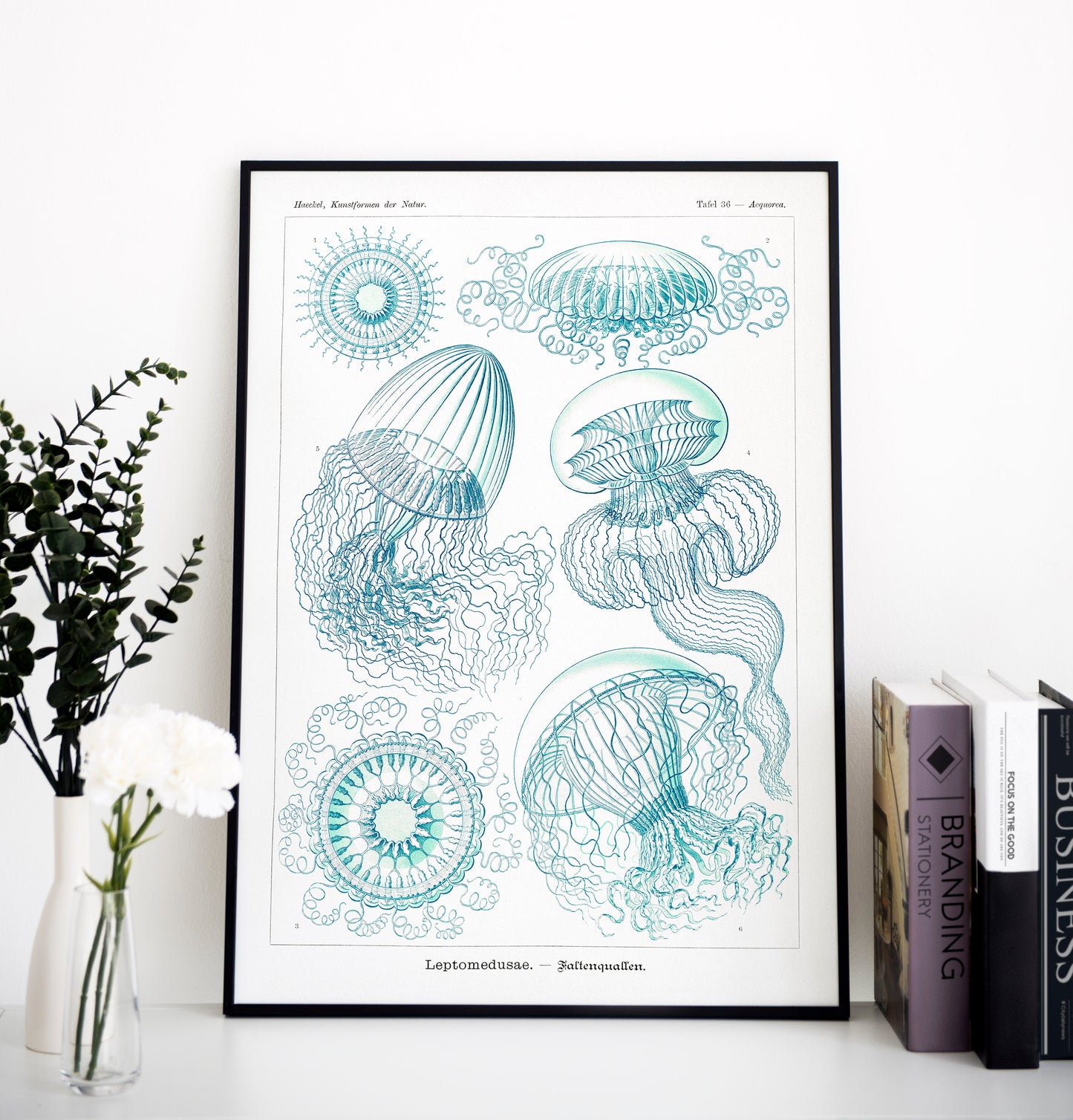 Ernst Haeckel - Leptomedusae | Wall Art | Historical Painting | Printable Wall Art | Home Decor | Famous Art | Classical Artwork |